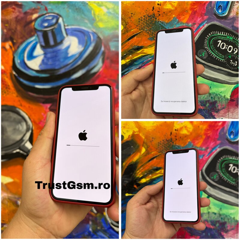 Service GSM Timisoara